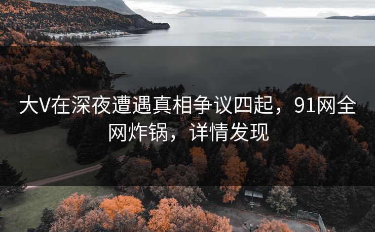 大V在深夜遭遇真相争议四起，91网全网炸锅，详情发现