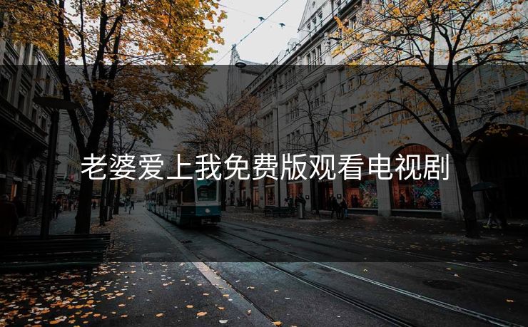老婆爱上我免费版观看电视剧