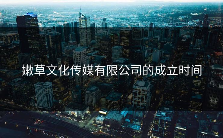 嫩草文化传媒有限公司的成立时间