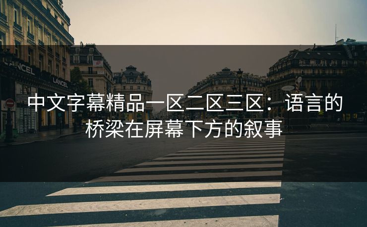 中文字幕精品一区二区三区：语言的桥梁在屏幕下方的叙事