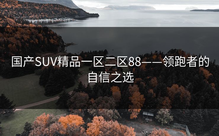 国产SUV精品一区二区88——领跑者的自信之选
