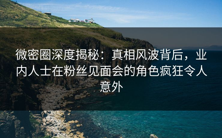 微密圈深度揭秘：真相风波背后，业内人士在粉丝见面会的角色疯狂令人意外